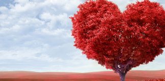 CHSCT mon amour CHSCT